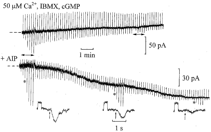 Figure 8