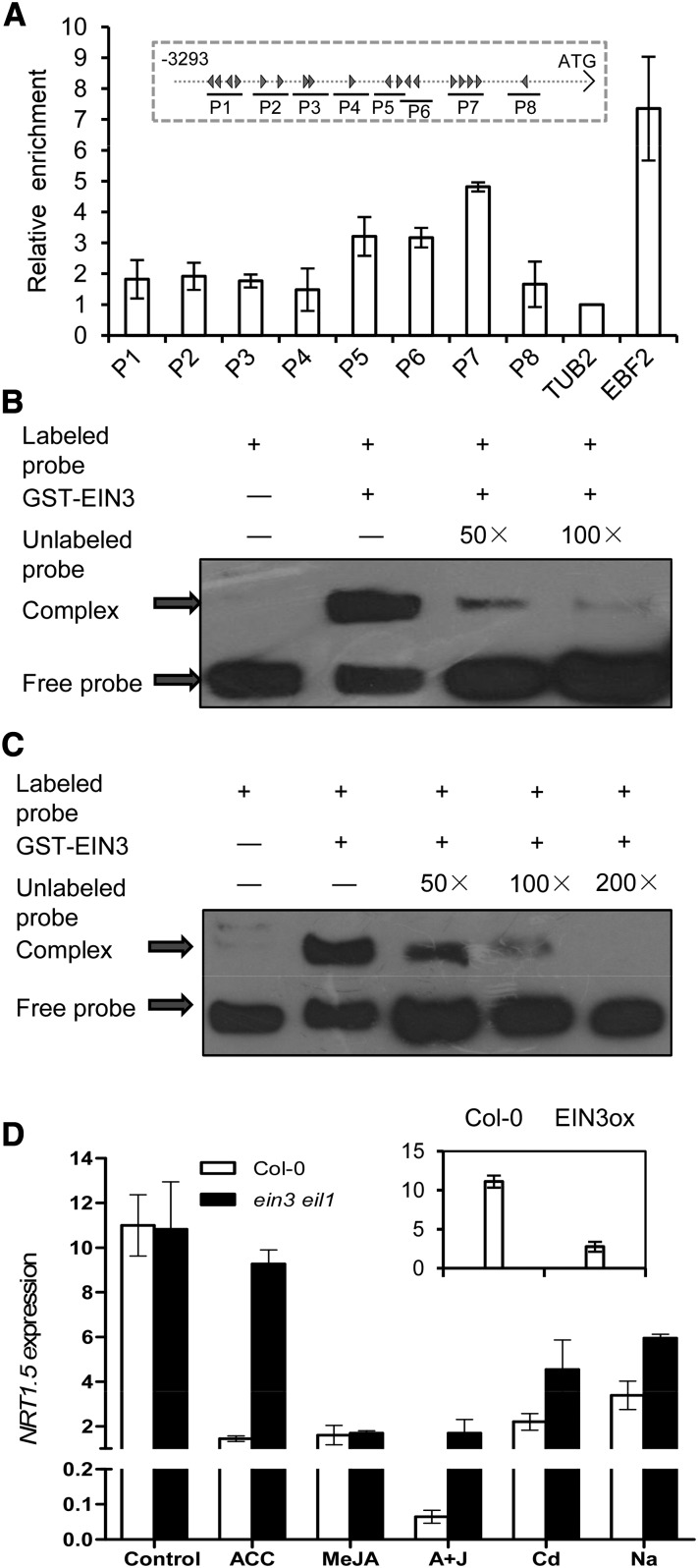 Figure 5.