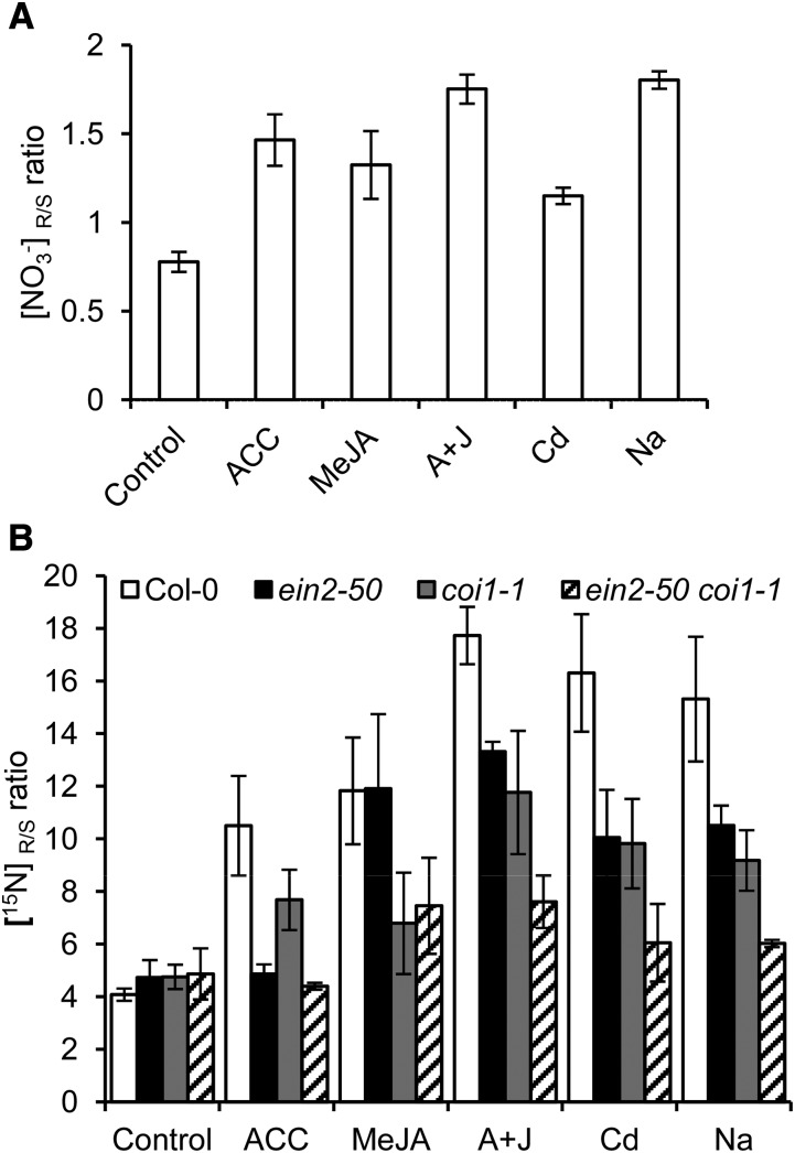 Figure 6.