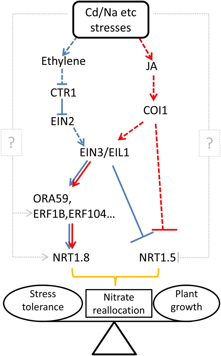 Figure 10.