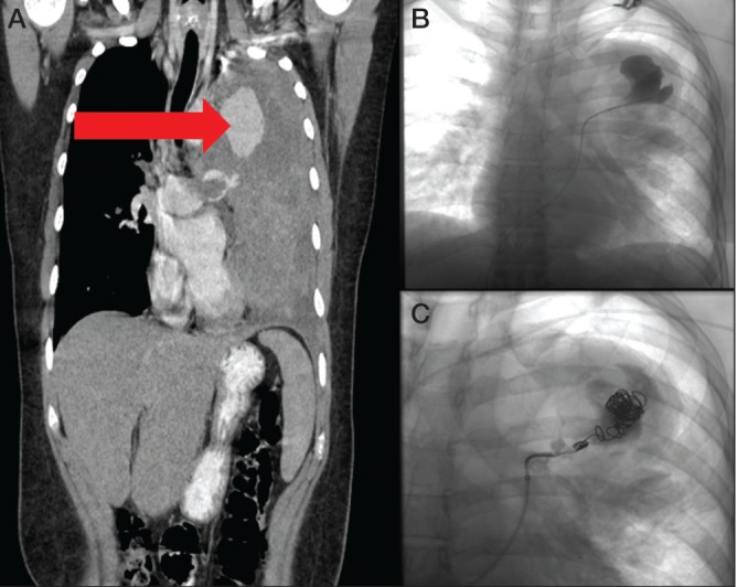 Figure 3)