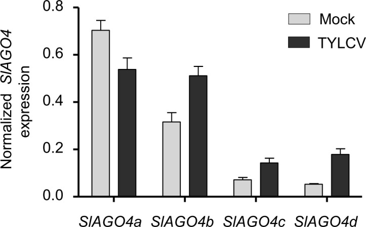 Figure 2—figure supplement 1.