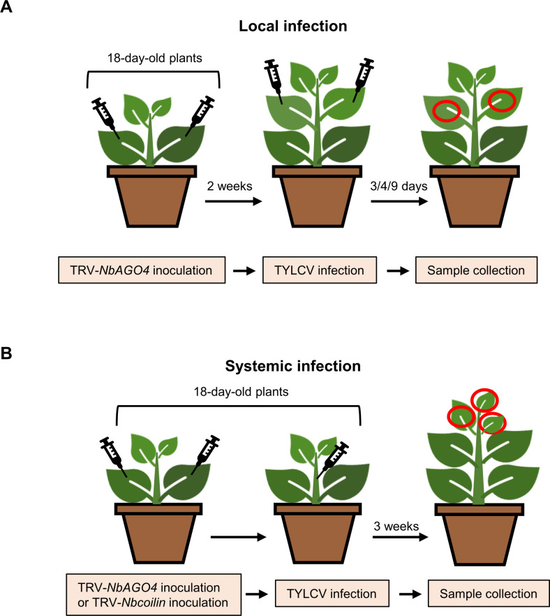 Figure 3—figure supplement 1.