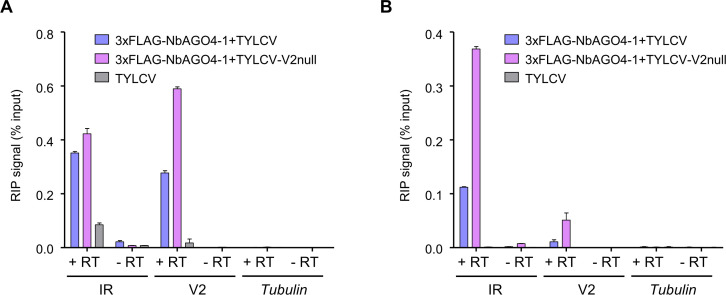 Figure 5—figure supplement 1.