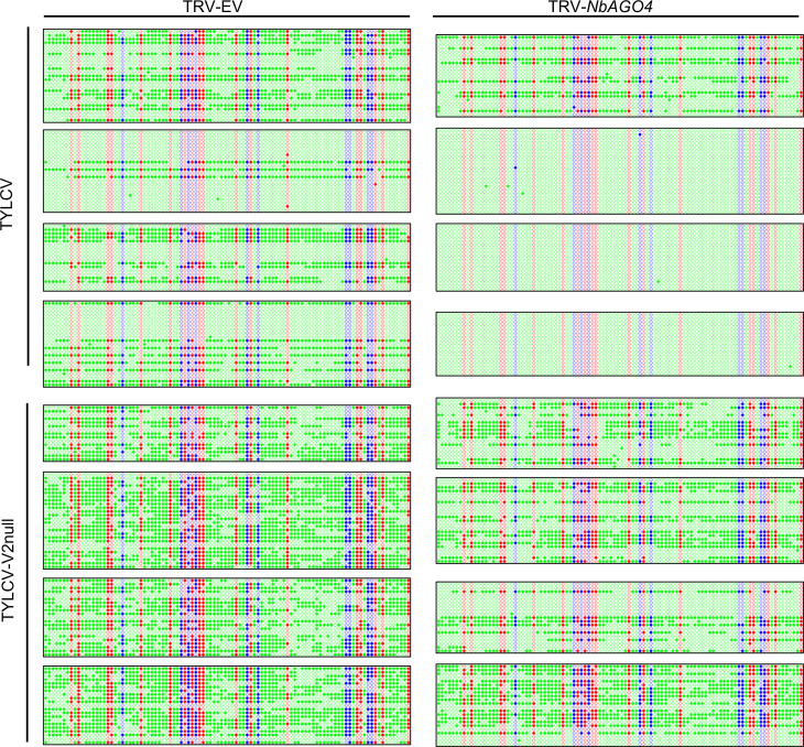 Figure 4—figure supplement 2.