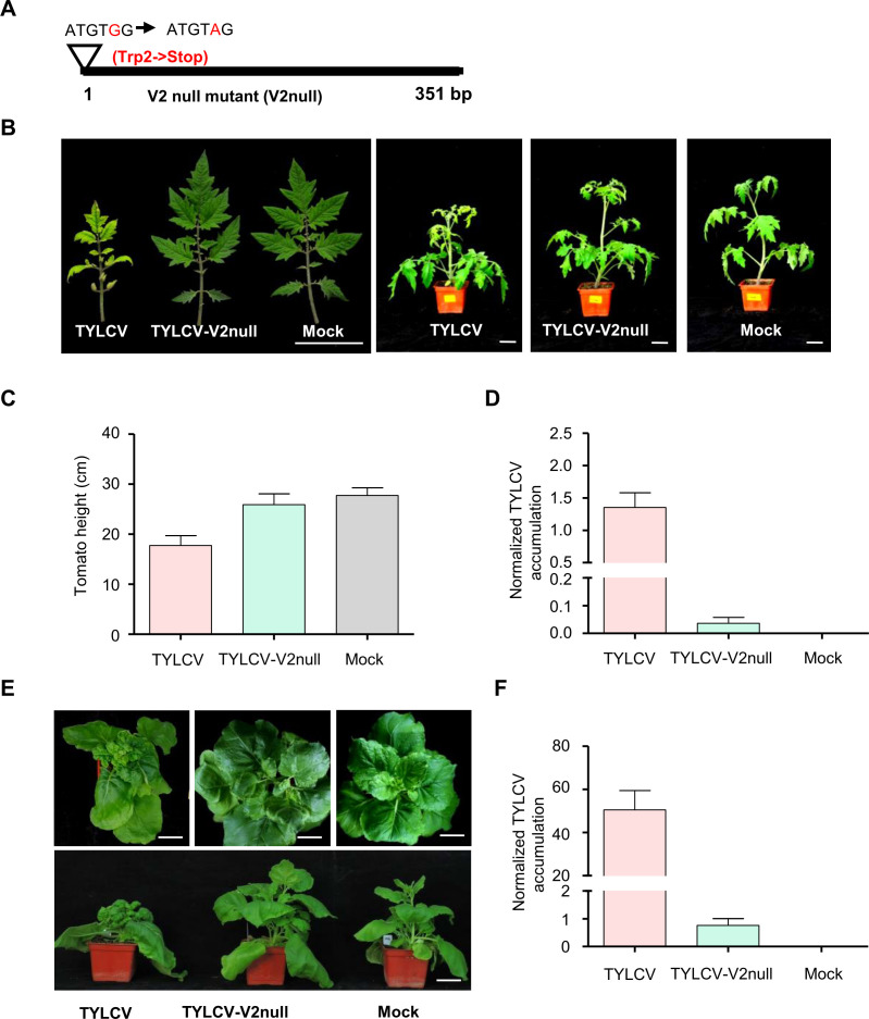 Figure 2—figure supplement 2.