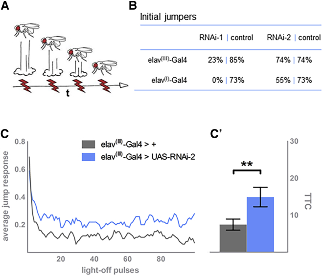 Figure 4