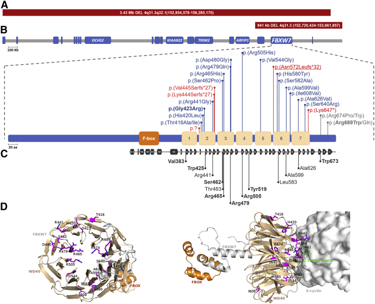 Figure 2