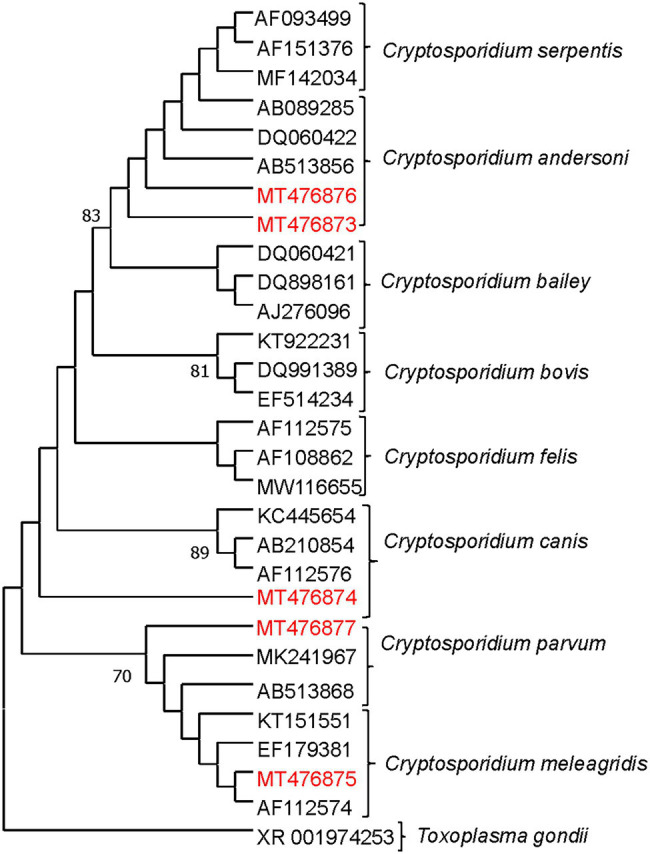 Figure 4