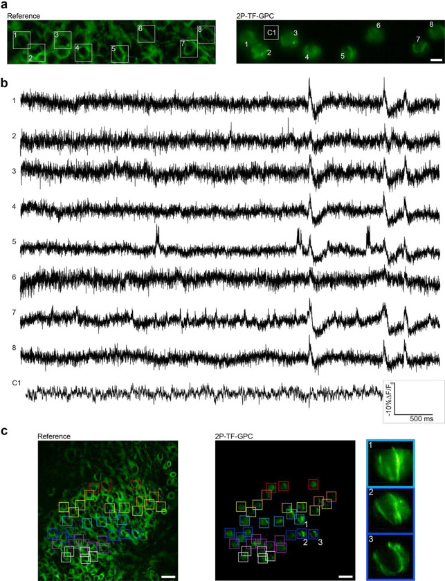 Figure 6