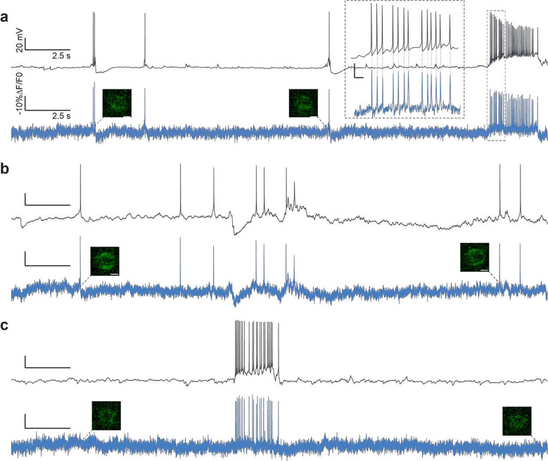 Figure 5