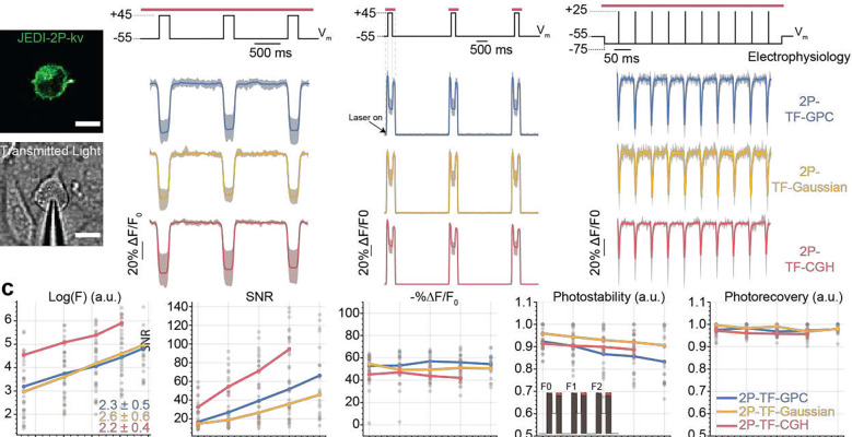 Figure 2