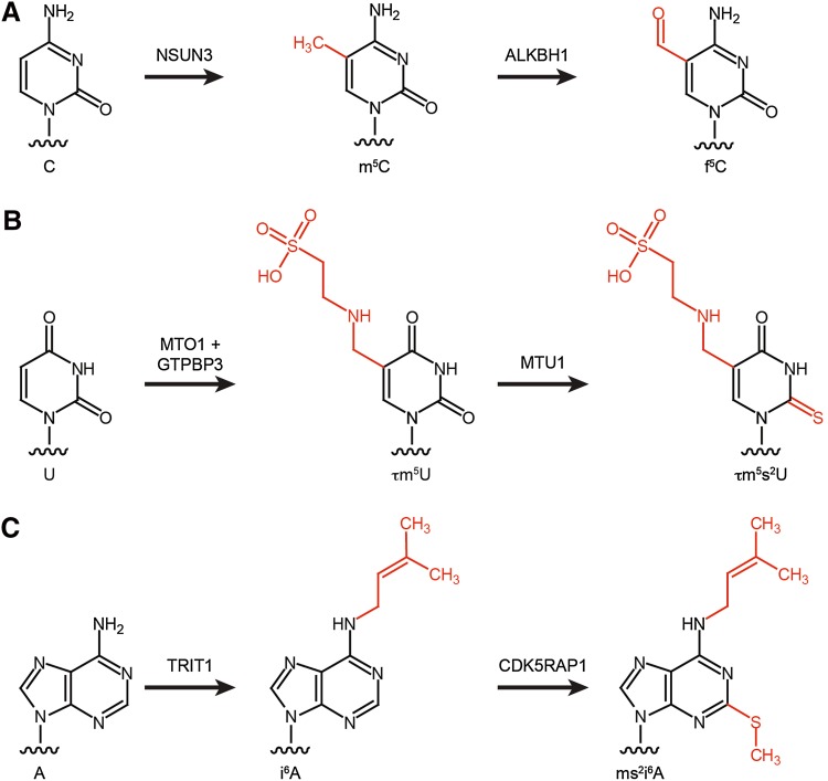 Fig. 3