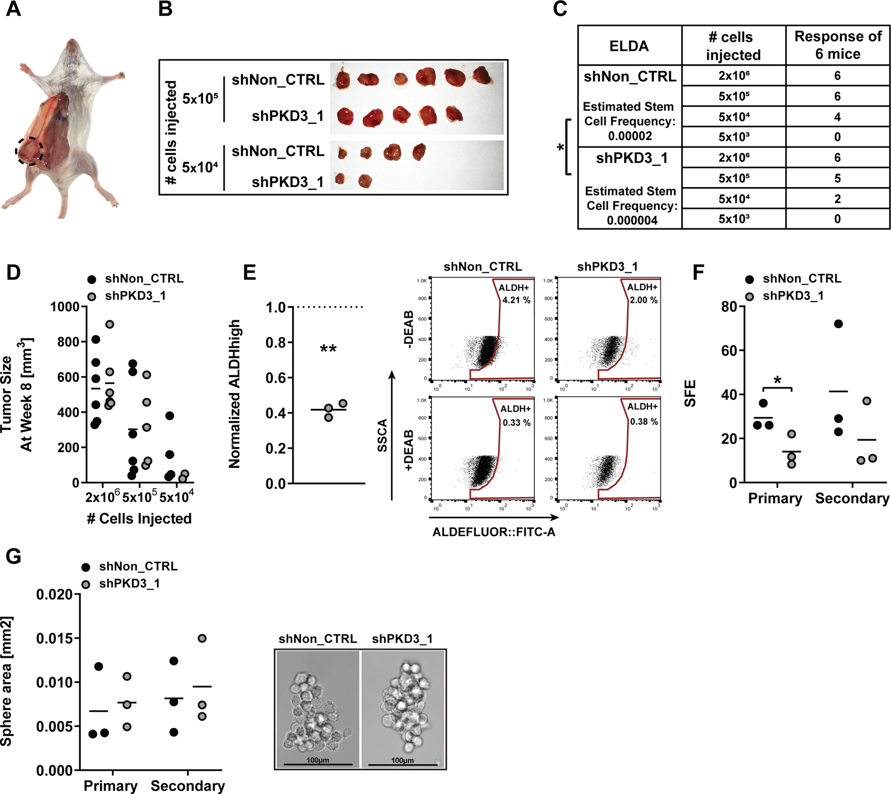 Figure 2: