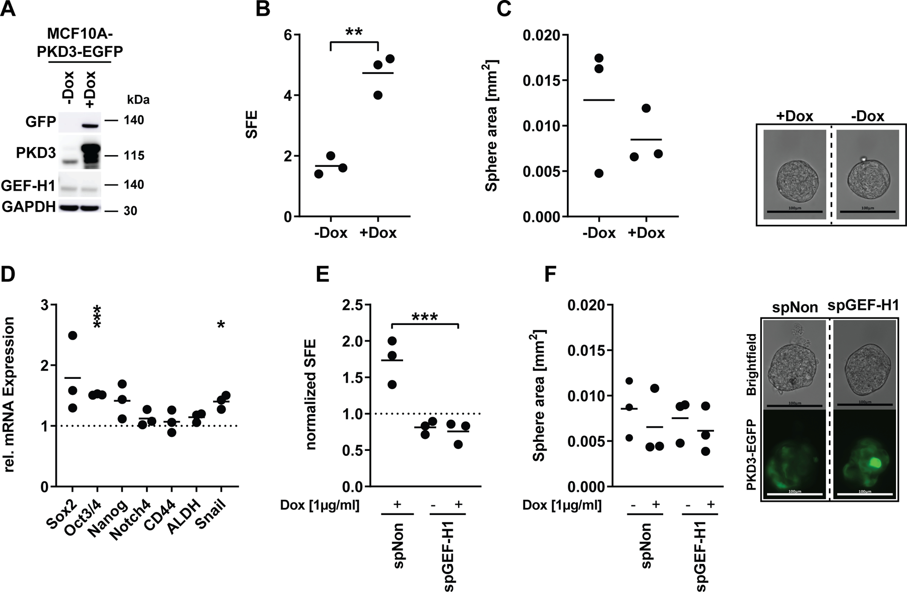 Figure 4: