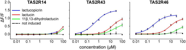 FIGURE 3