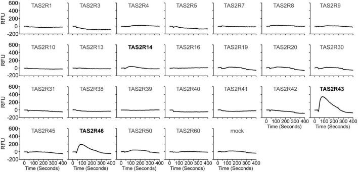 FIGURE 2