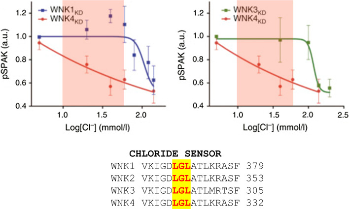 Fig. 4