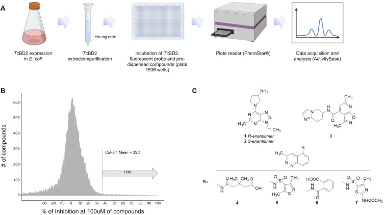 Fig 2