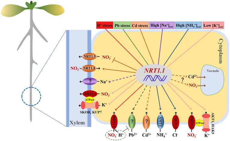 Figure 2