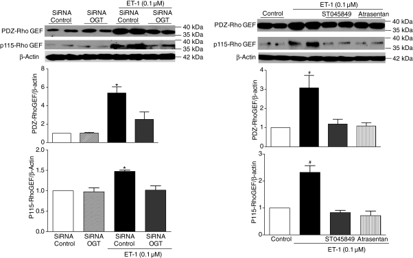 Figure 6