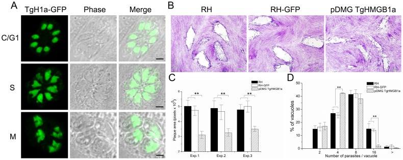 Figure 6