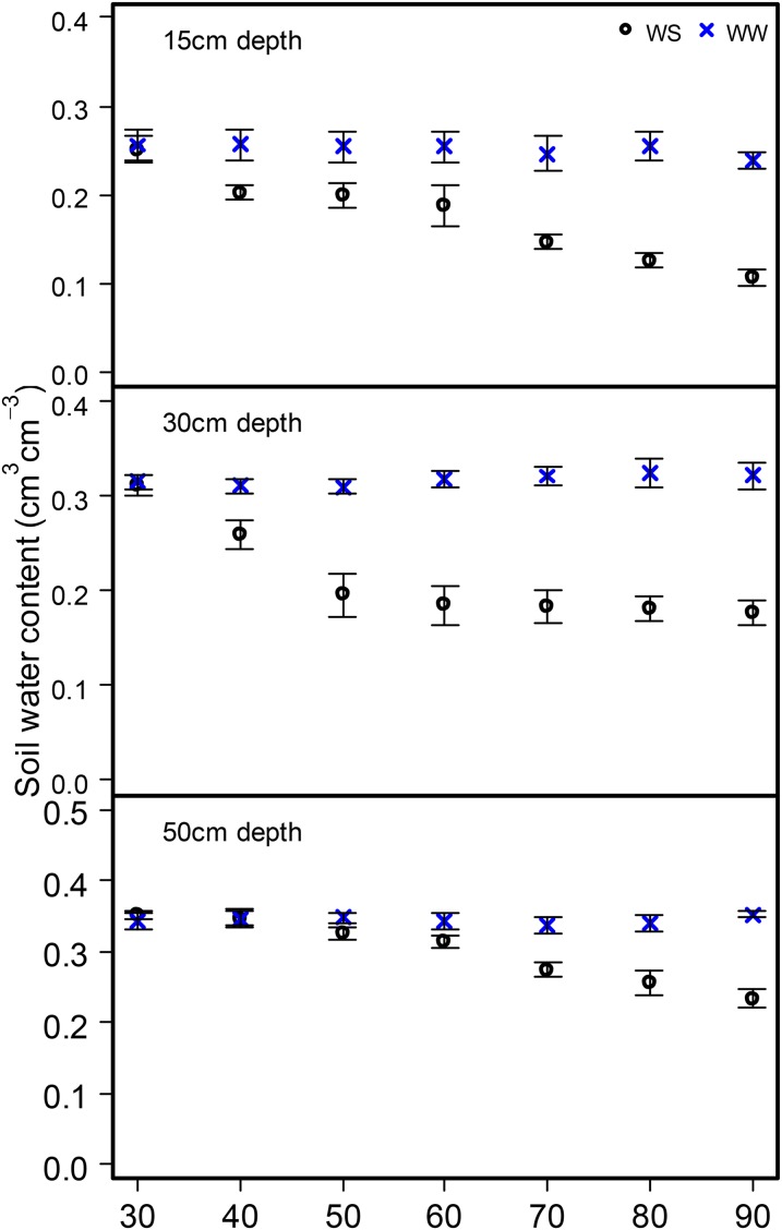 Figure 11.