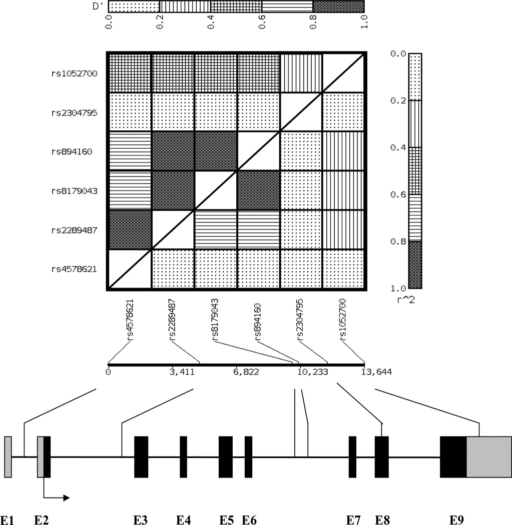 FIGURE 1