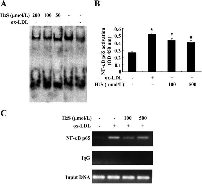 FIGURE 5.