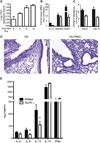 FIG 6