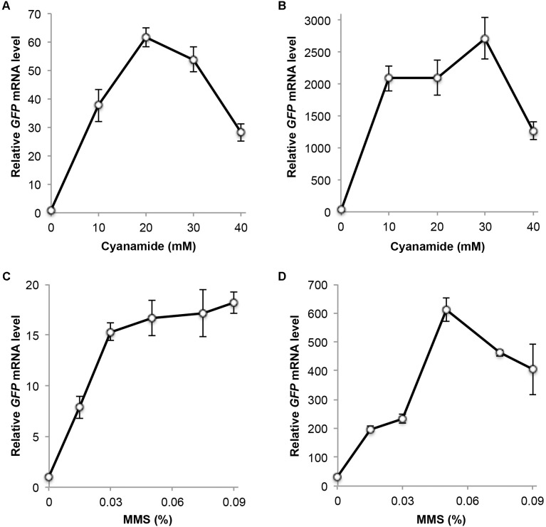 FIGURE 3