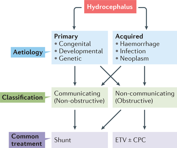 Figure 1 |