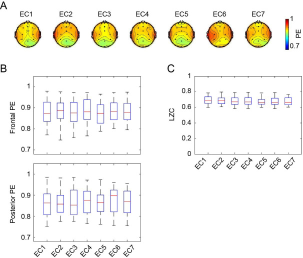 Figure 4—figure supplement 3.