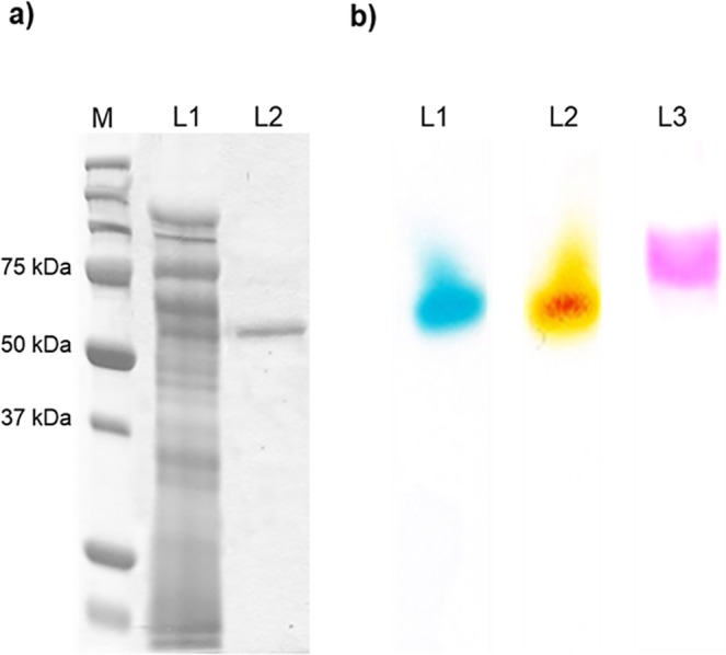 Fig 1