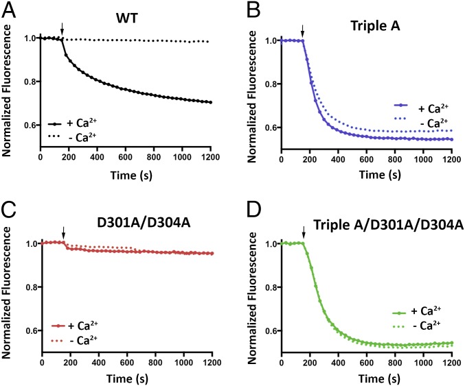 Fig. 4.