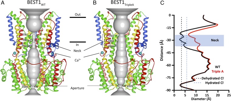 Fig. 5.