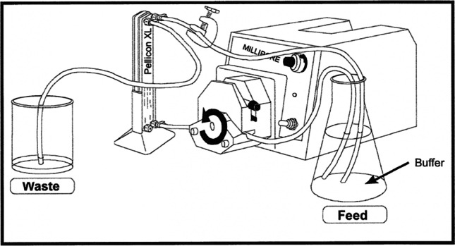 graphic file with name 467_2022_5843_Figc_HTML.jpg