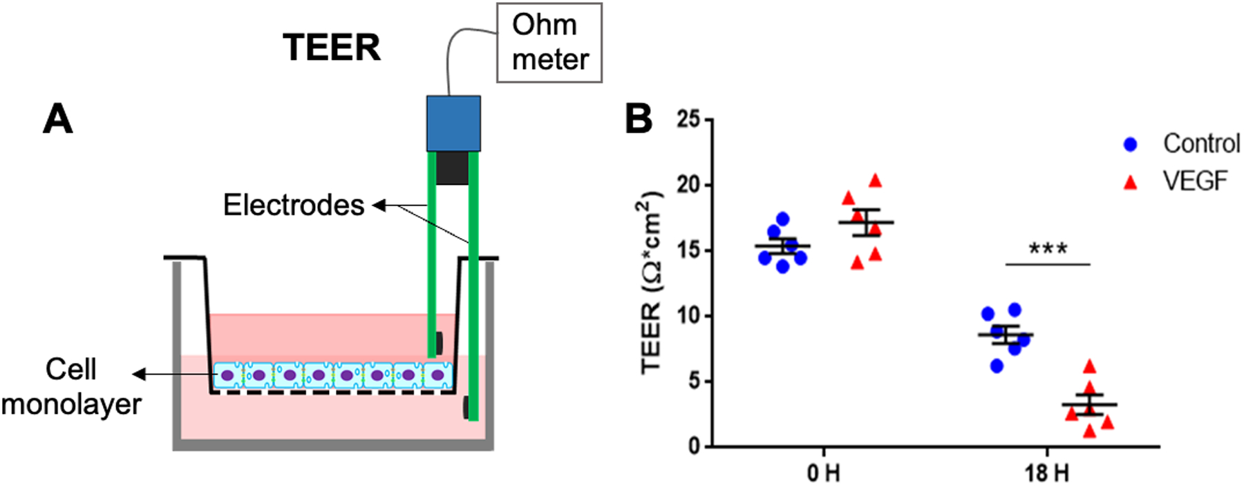 Figure 4: