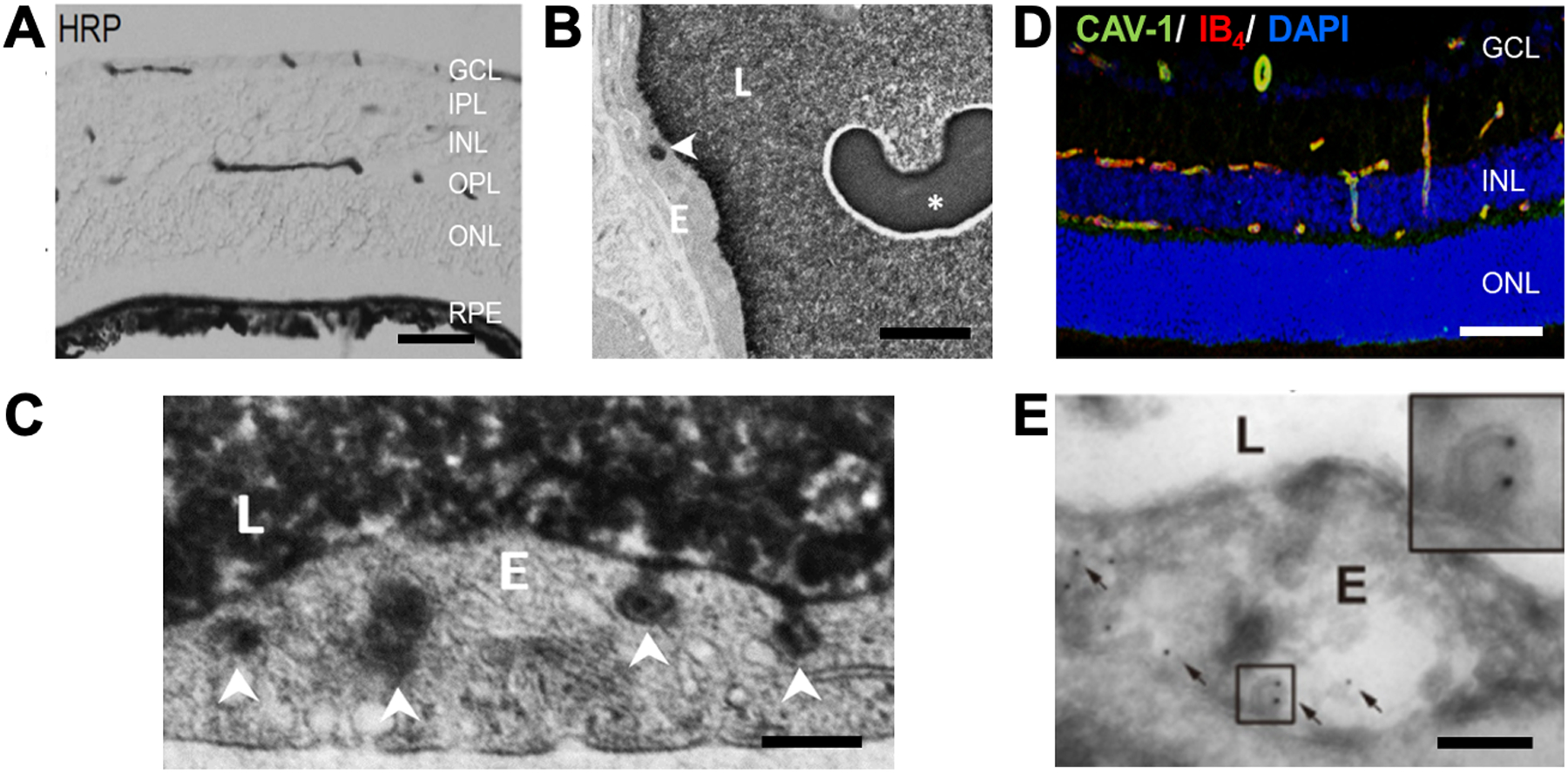 Figure 3: