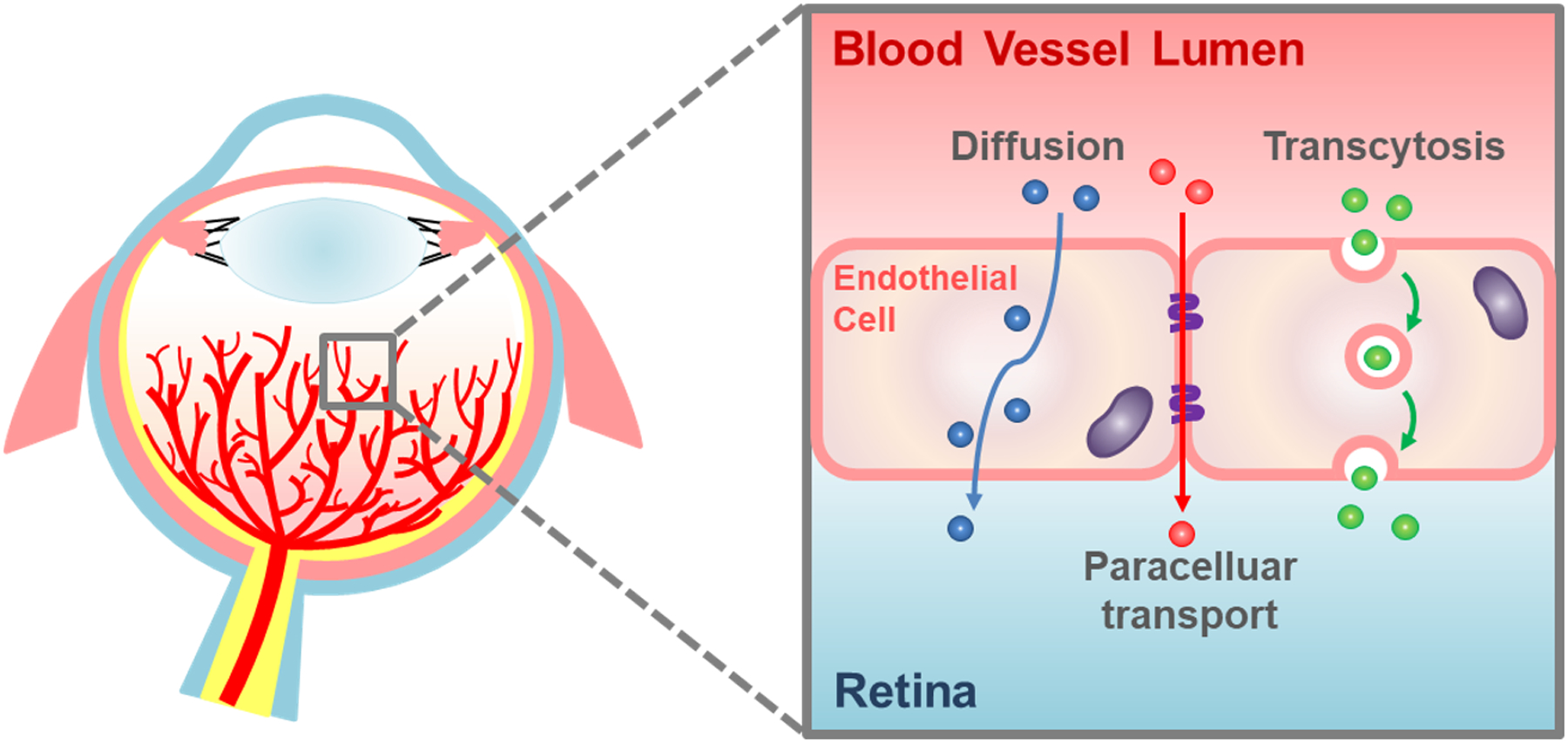 Figure 1: