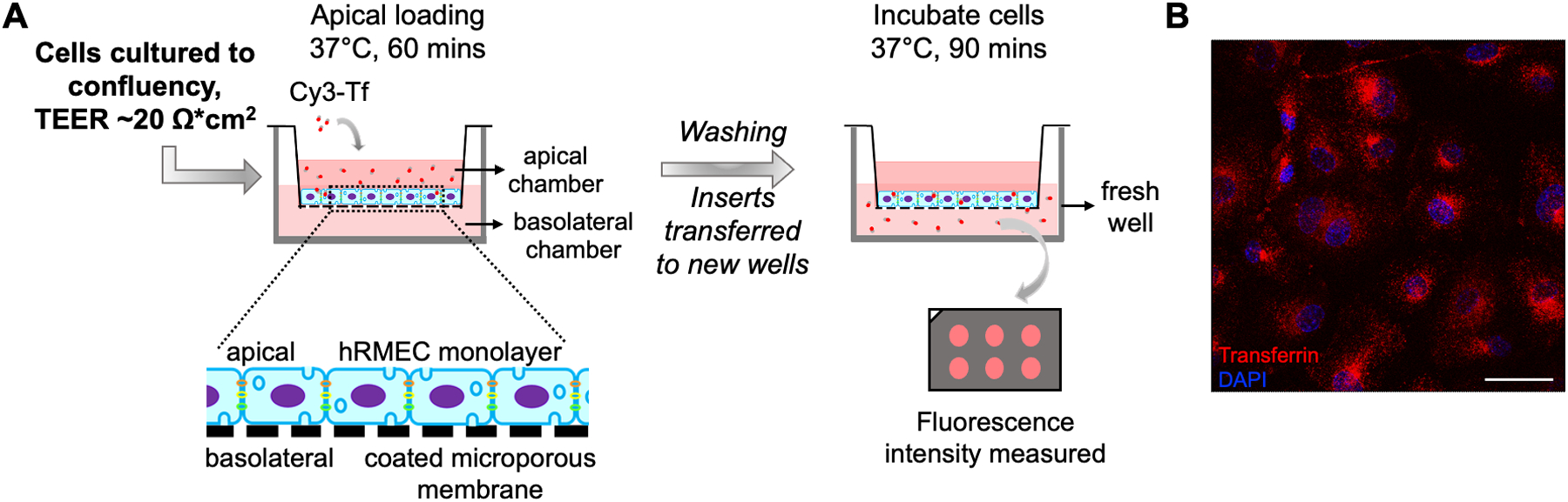 Figure 5: