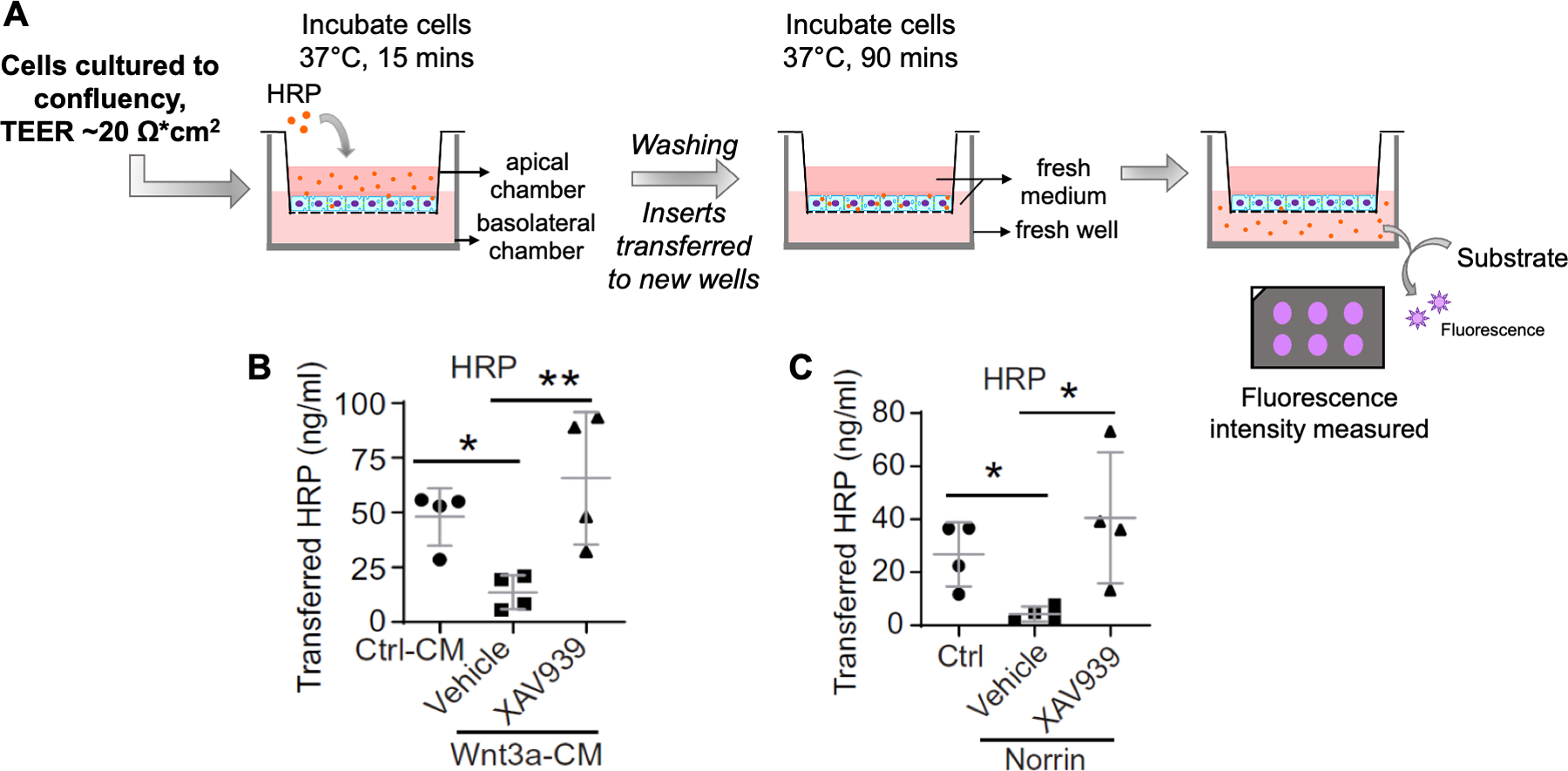 Figure 6: