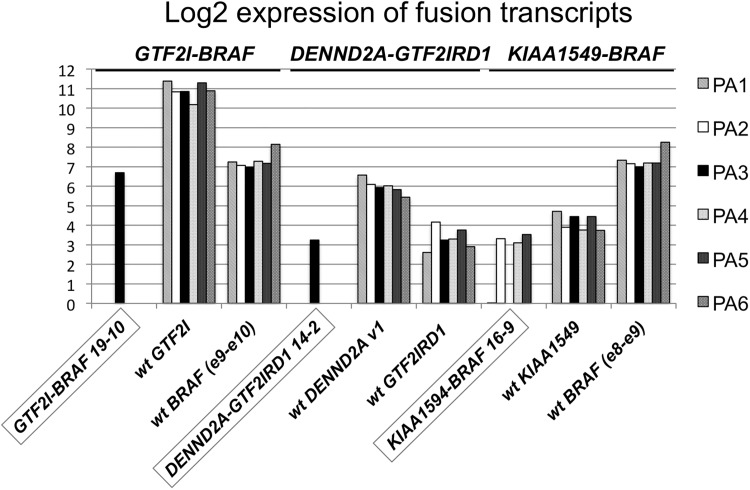 Fig 4