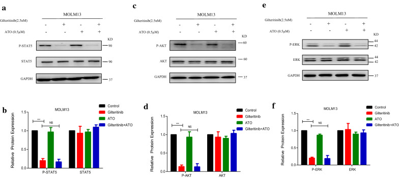 Fig. 6