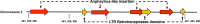 FIG 6