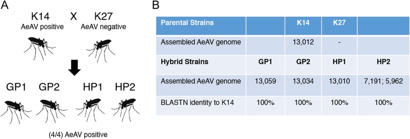 FIG 10