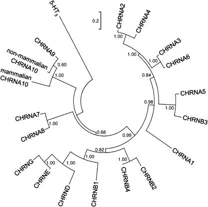 Fig. 5.