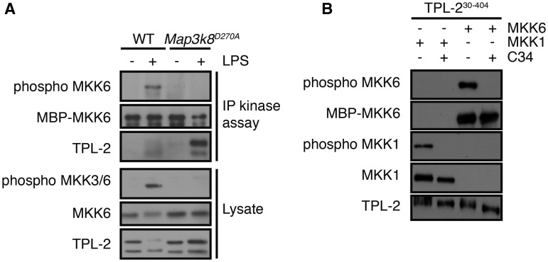 Figure 4.