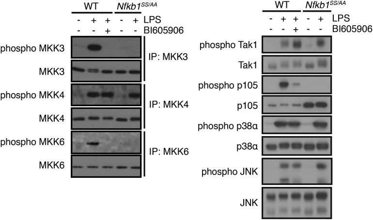 Figure 5.