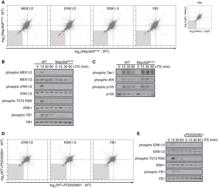 Figure 1.